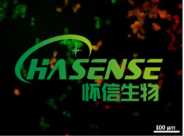 JC-1細(xì)胞線粒體膜電位檢測(cè)